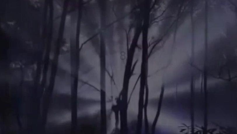 侠客风云传