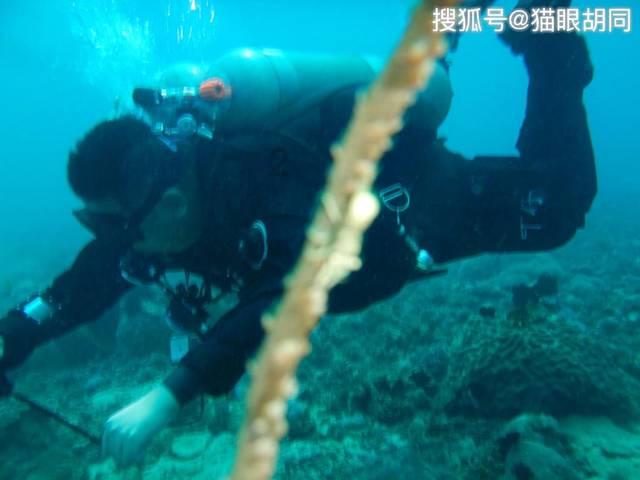 全民剧本大师内置菜单