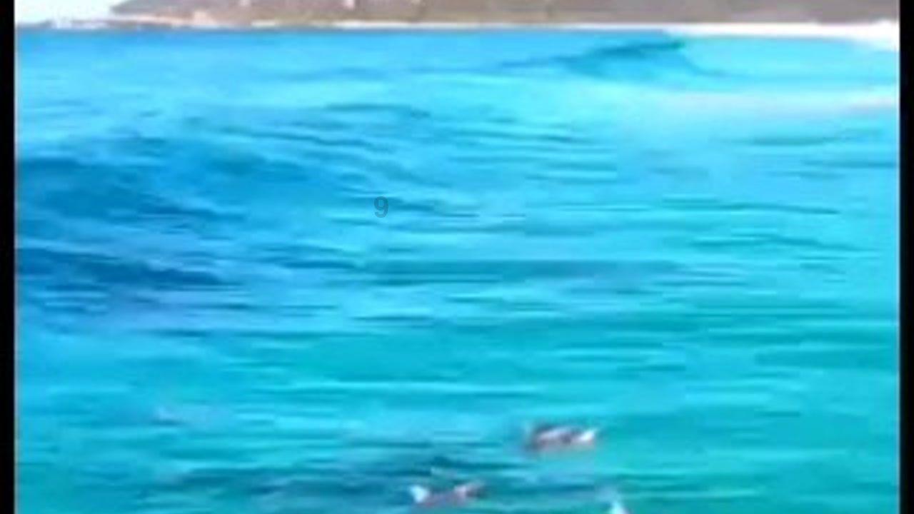 逃出神秘石堡
